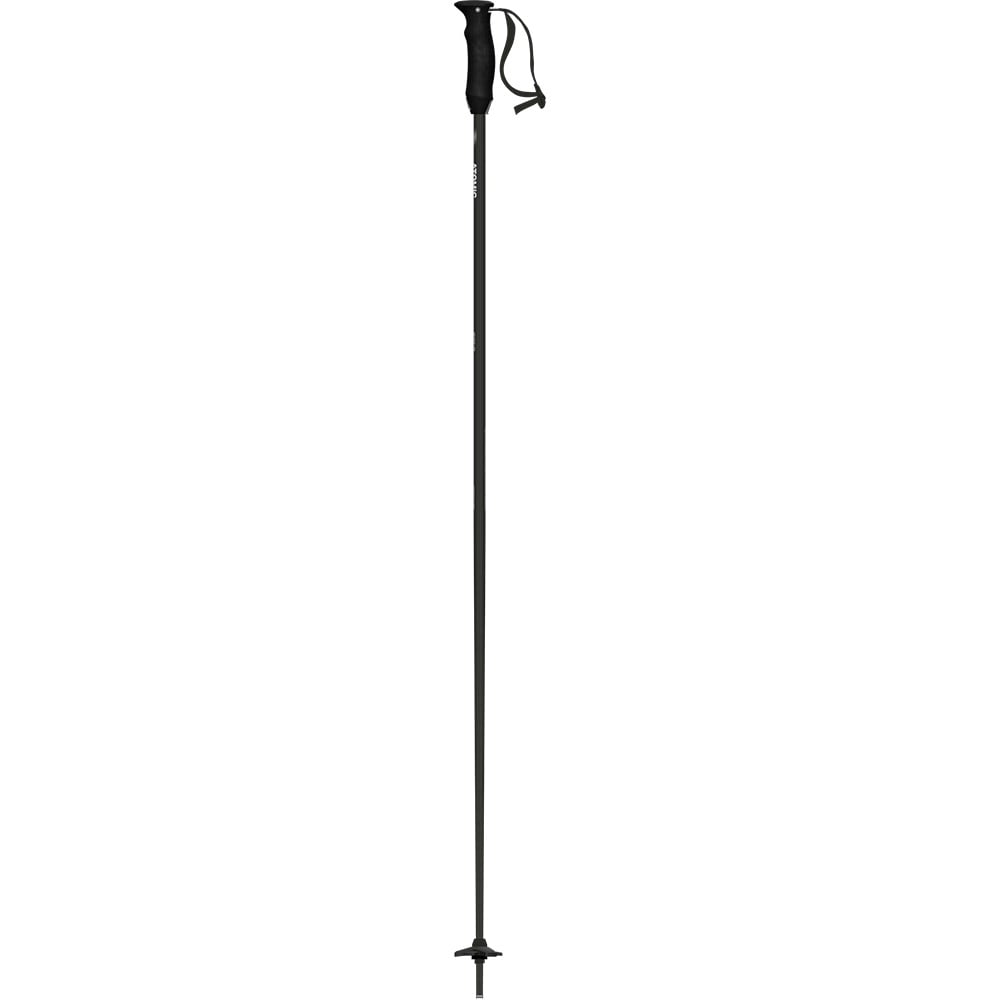 ATOMIC REVENT LITE SKI POLES 120 cm | The House