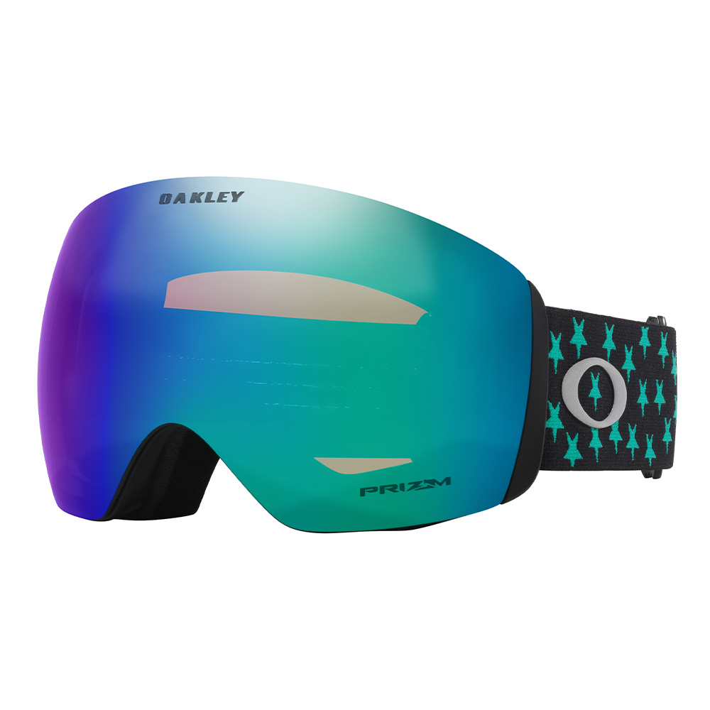 Oakley Flight Deck L Snow Goggle