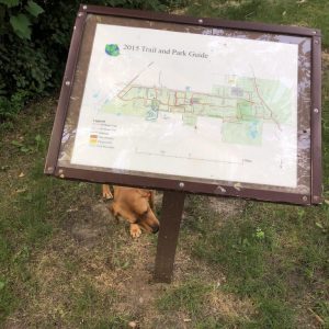 Stillwater, Minnesota trail map with dog