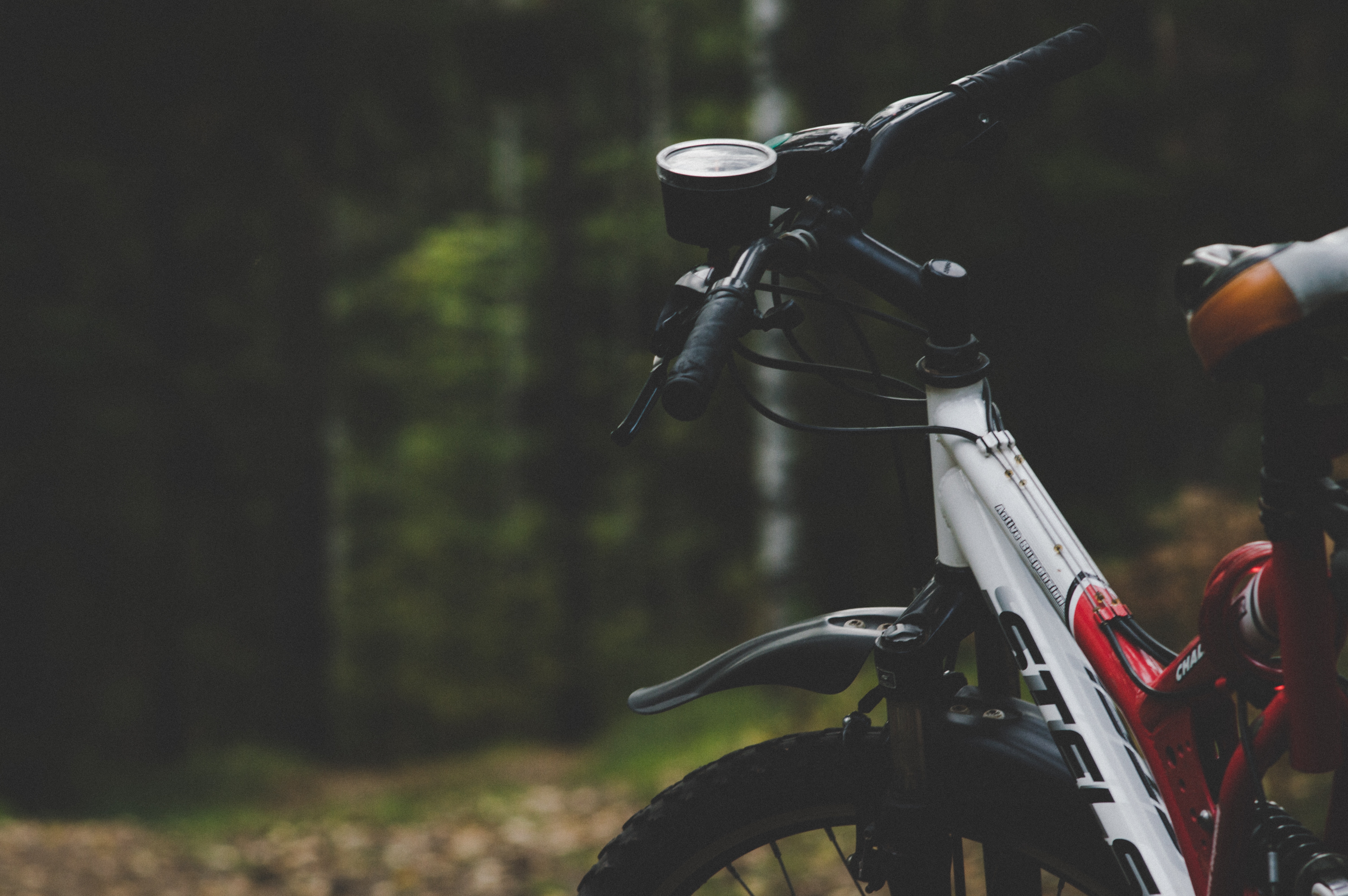 red and white gravel bike in the woods