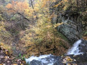 waterfall flowing over cliff in autumn forest