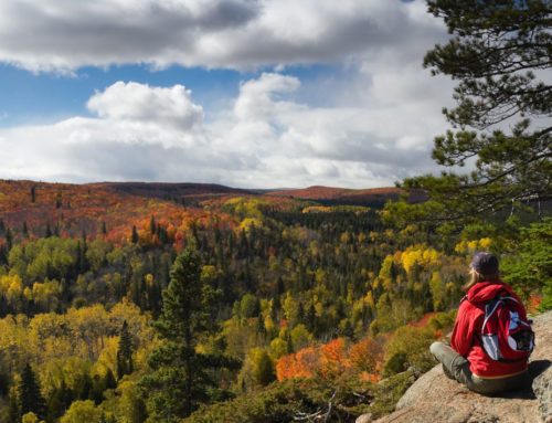 The Superior Hiking Trail: Our Favorite Sections